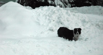 Keri in front yard