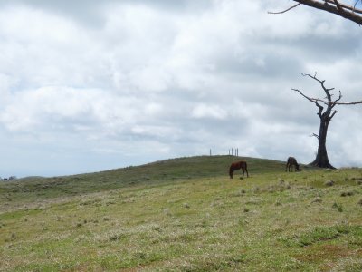 P2150029.JPG