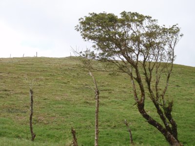 P2150052.JPG