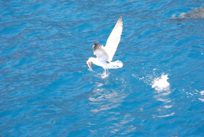 DSC_2456.JPG