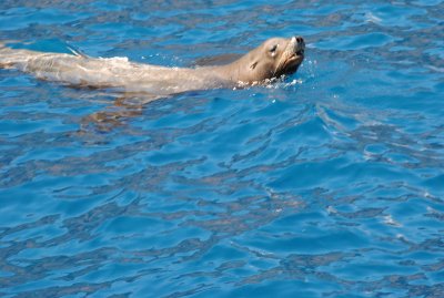 DSC_2500.JPG