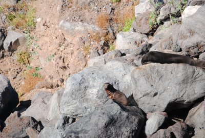 DSC_2586.JPG
