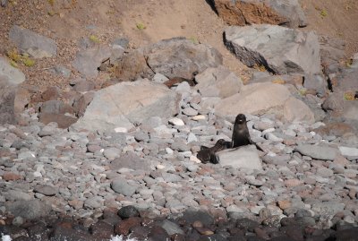 DSC_2616.JPG