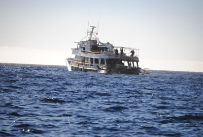 DSC_2775.JPG