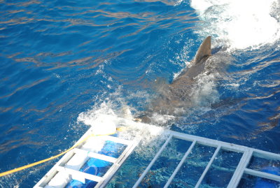 DSC_2825.JPG