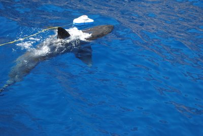 DSC_2926.JPG