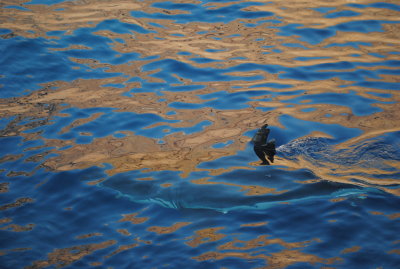 DSC_3048.JPG