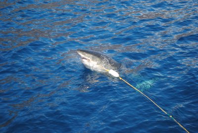 DSC_3128.JPG