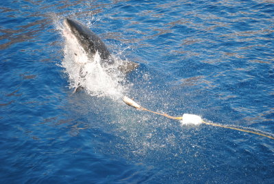 DSC_3163.JPG