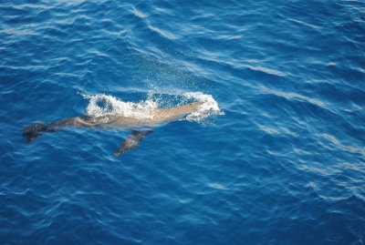 DSC_3202.JPG