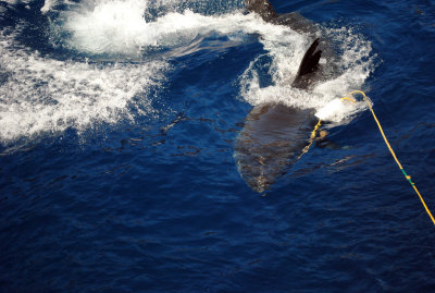 DSC_3250.JPG