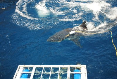 DSC_3251.JPG