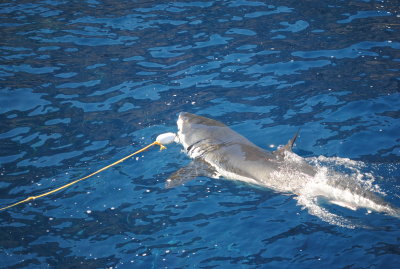 DSC_3402.JPG
