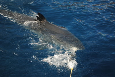 DSC_3451.JPG
