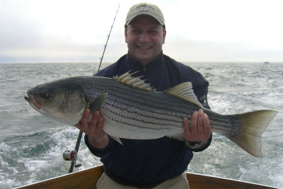 Sea Fishing in New England