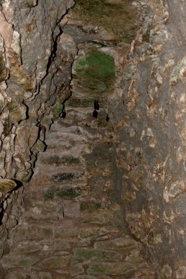 Coba - the temple on top of the Nohoch Mul pyramid (the bats are real).