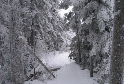 Stratton Mountain, VT