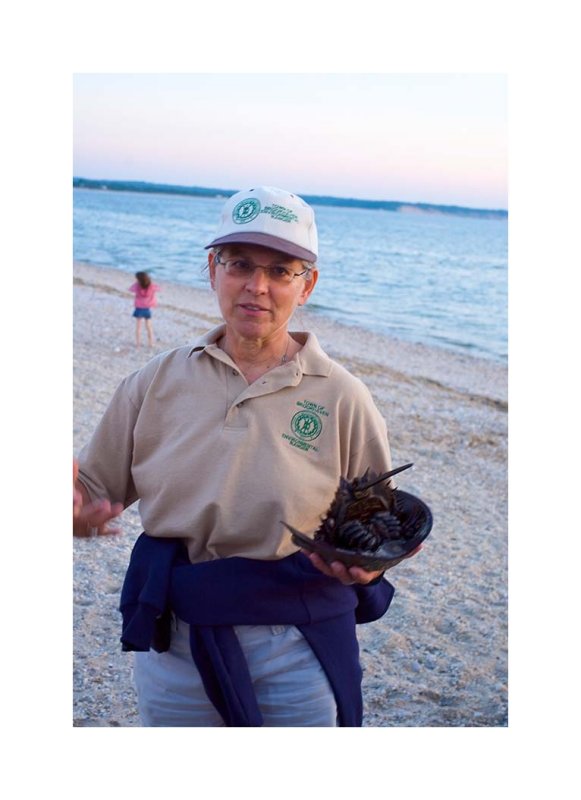 HorseShoe Crab Walk  007.jpg