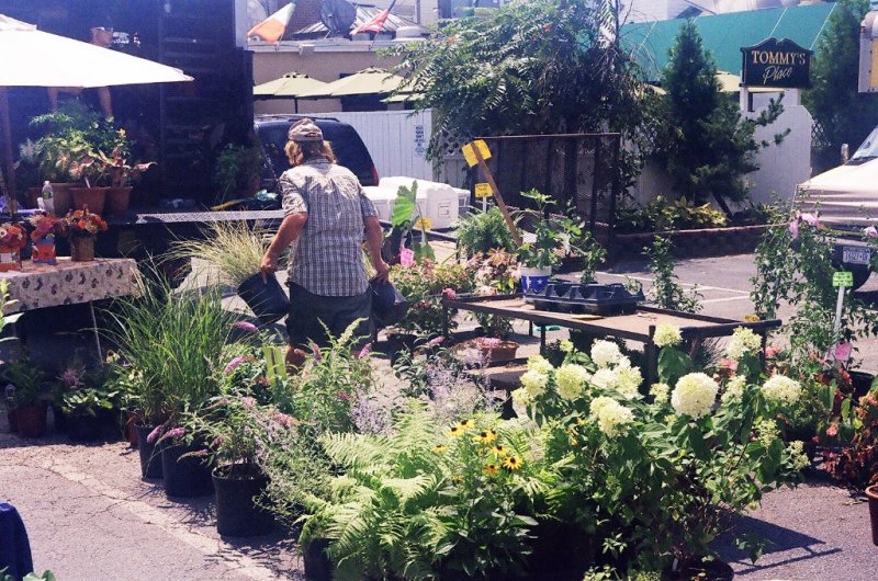 June 27-2010 11.jpg
