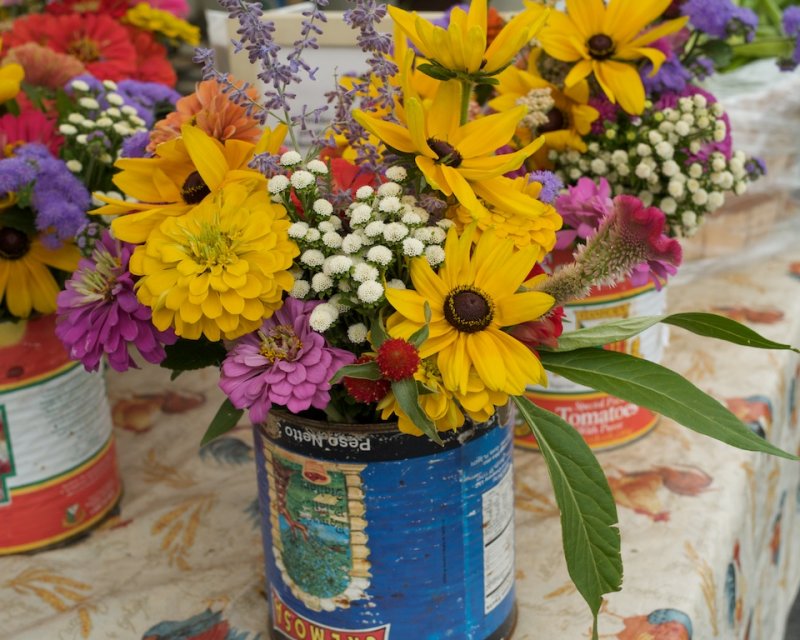 August 1 2010 10.jpg