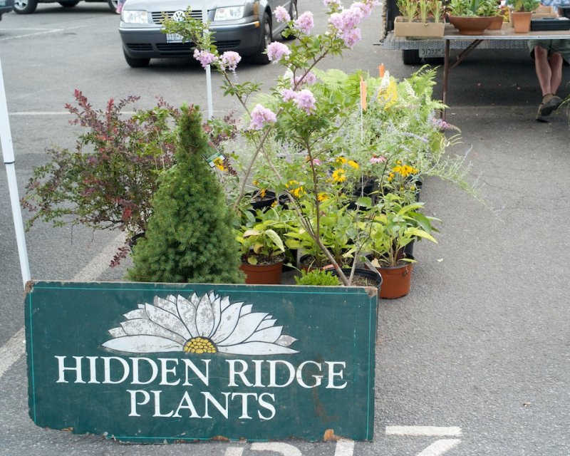 August 1 2010 40.jpg