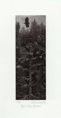 April Snow Showers - by wood engraver Kathleen Lindsley