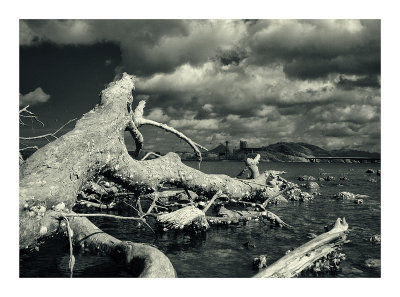 Tung Chung Bay