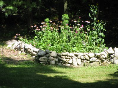 Hard Rock Garden
