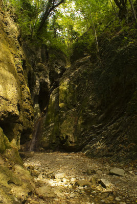 DSC3247.jpg