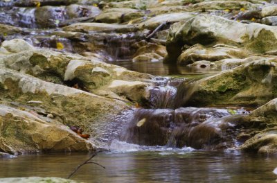 DSC3289_.jpg