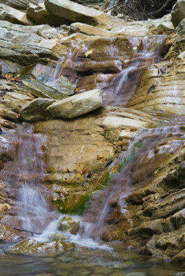 DSC3294.jpg