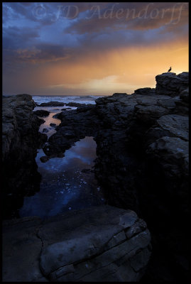 Seal Point Nature Reserve, Cape St Francis