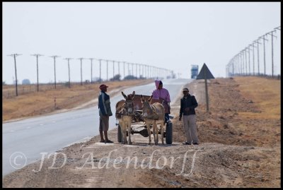 Donkey cart near Delareyville