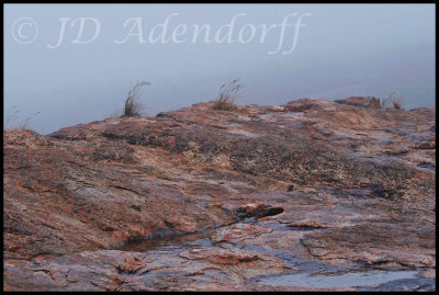 Skilpad Reserve, mist clouds rolling in