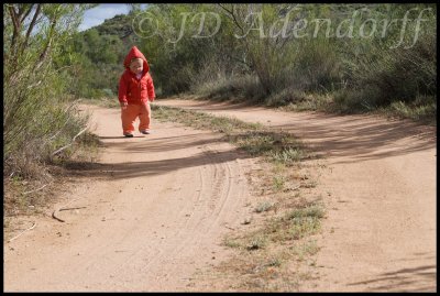 Little red riding hood