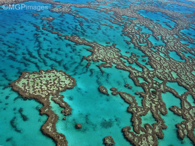 Great Barrier Reef, Australia