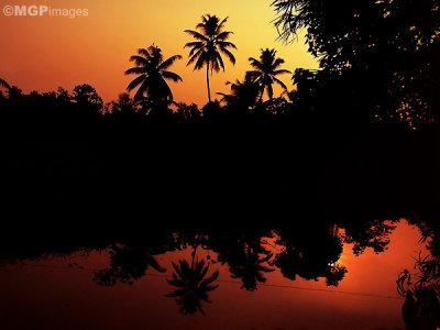 Alleppey,  Kerala, India