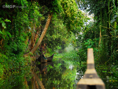 Alleppey, Kerala, India