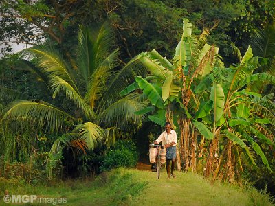 Alleppey, Kerala, India