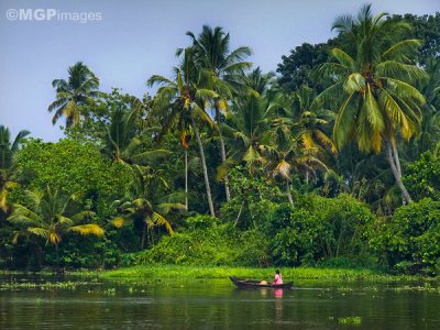 Alleppey, Kerala, India