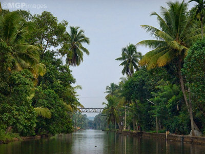 Kottayam, Kerala, India