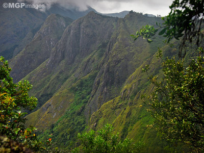 Top station, Munnar,  Kerala, India