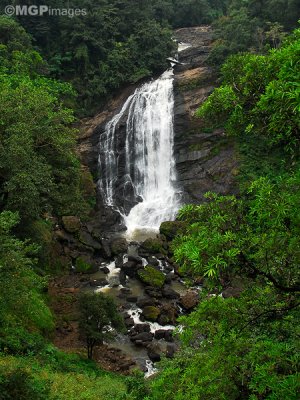 Munnar,  Kerala, India