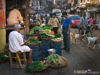 Colaba market, Mumbai, India