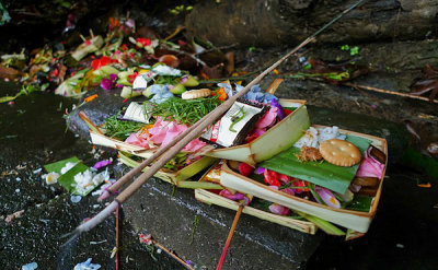 Offerings, Ubud, Bali, Indonesia