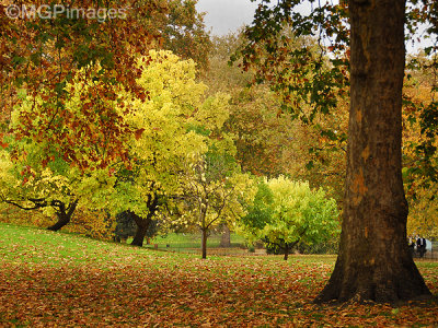 St James's Park, London, UK