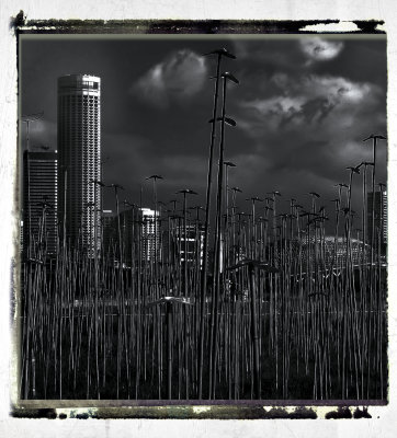 g1/26/601226/3/106455357.06dRtCVd.jpg