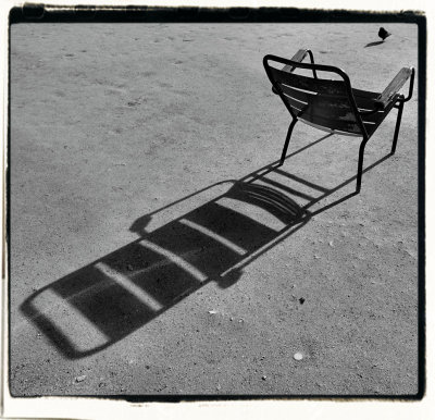 pigeon, chair and shadow