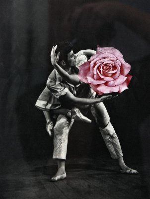 dancing with a rose...SP ;)