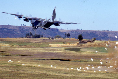 Air dropping, 1985